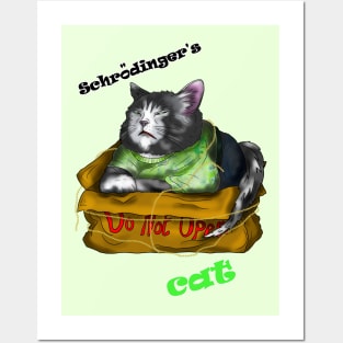 Schrodingers wise cat Posters and Art